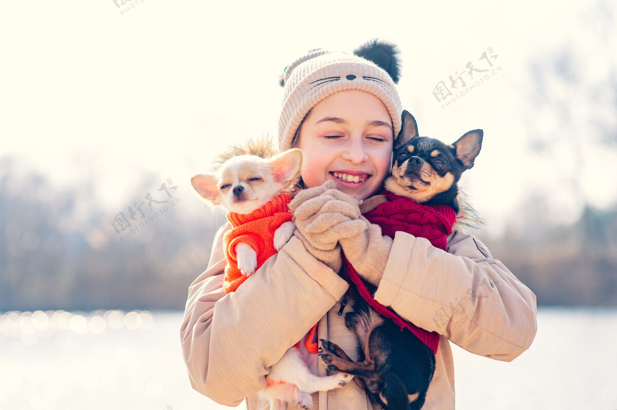 狗少女抱着她的两只小狗吉娃娃狗和成年狗dog.chihuahua小狗冬天快乐动物