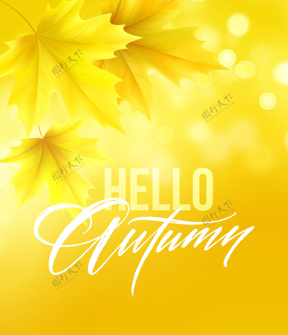 海报您好秋天的海报与文字和黄色的秋天枫叶秋天的叶子叶子黄色