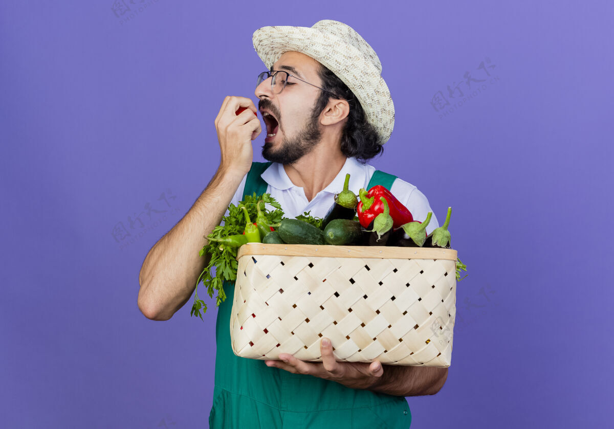 人年轻的留着胡须的园丁 穿着连体衣 戴着帽子 手里拿着装满蔬菜的箱子 咬着西红柿 站在蓝色的墙上站着板条箱人