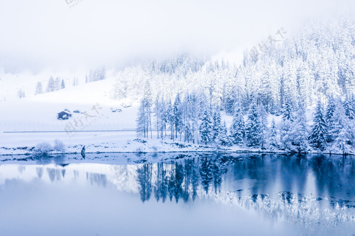 自然神奇的瑞士冬日湖在阿爾卑斯山的中心 四周森林被白雪覆蓋美麗白色巖石