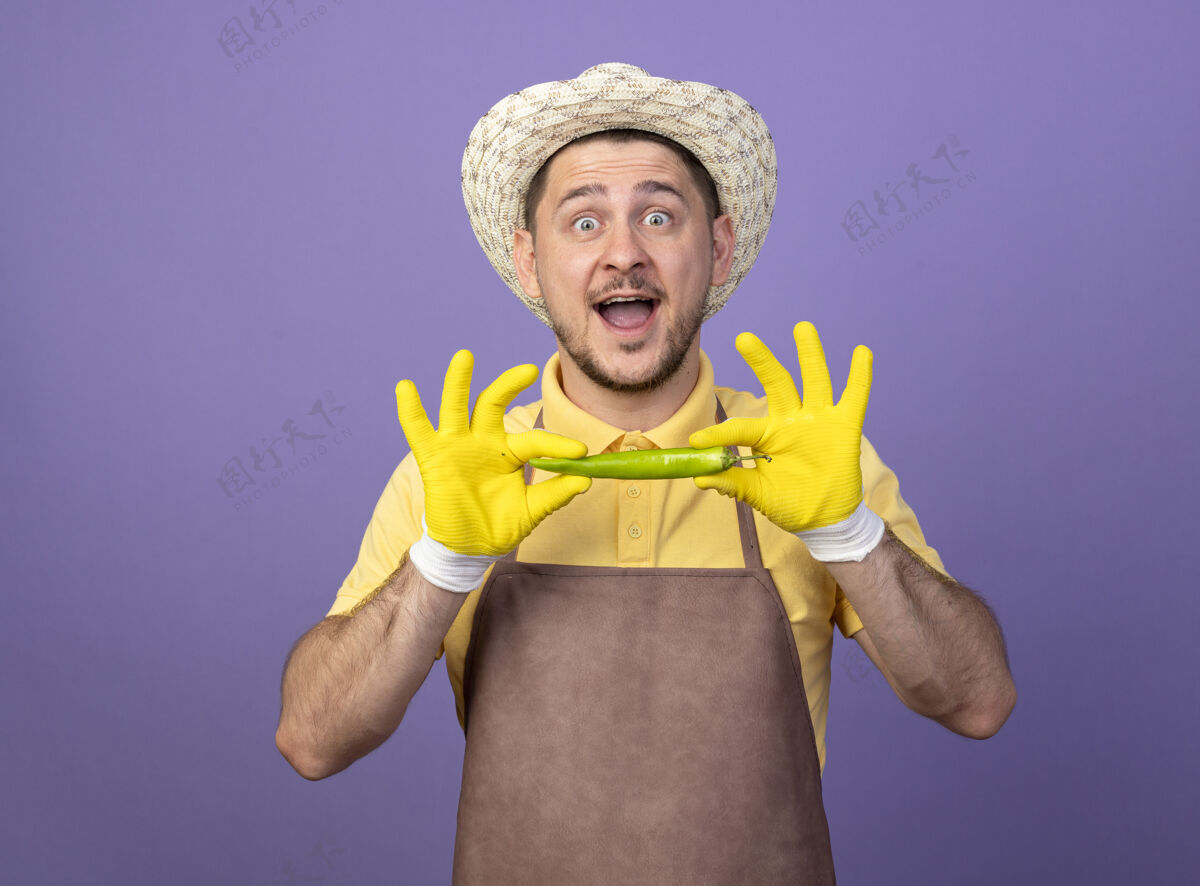 连身衣年轻的园丁穿着连体衣 戴着帽子 戴着工作手套 手里拿着青辣椒 站在紫色的墙上 惊讶地看着前面惊喜手套花园
