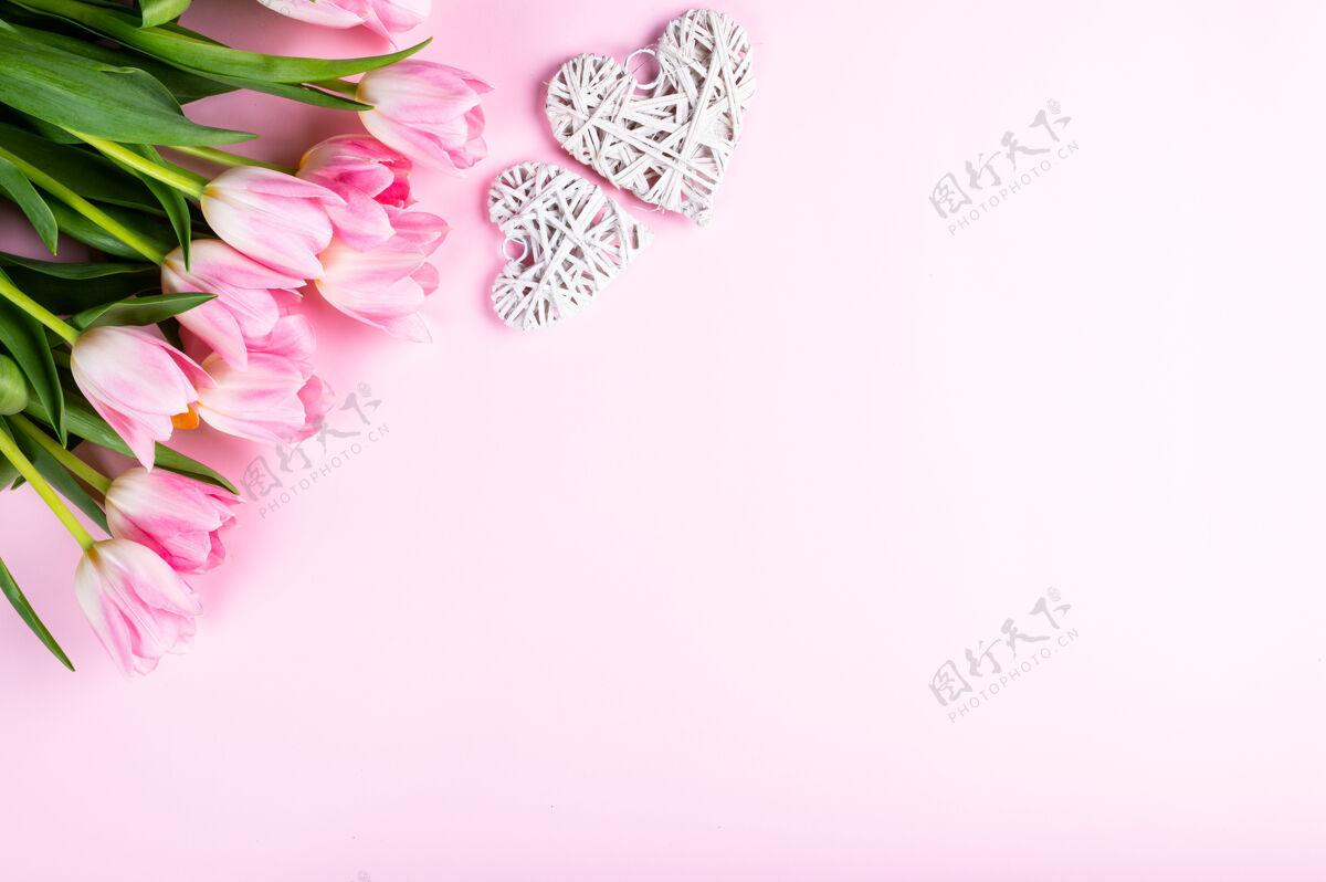 花粉红色背景上有一束郁金香和红心顶视图 平铺风格粉红色背景花