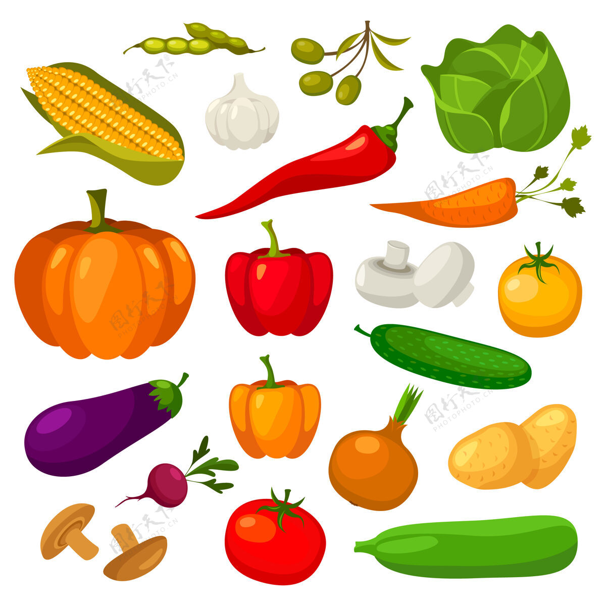 胡椒一套蔬菜隔离在白色胡萝卜玉米素食者