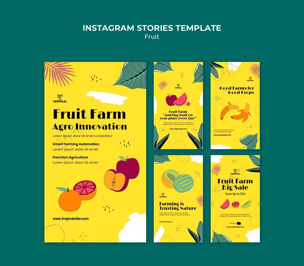 自然水果instagram故事模板新鲜水果有机水果天然水果