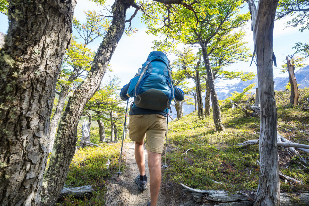 背包在森林里的小径上徒步旅行冒险路线山峰
