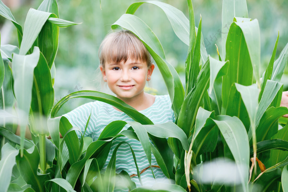 人类笑容可掬的少女与绿植树叶漂亮可爱的小女人站在阳光温暖的农场上白天很吸引人人与高栽培文化有机的自然产物田野看树叶