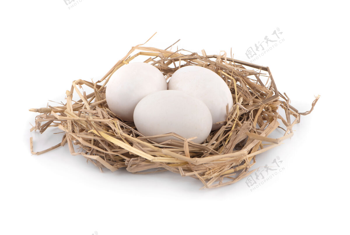 杂货三个鸡蛋 新的原始蛋清照片在工作室短宏特写和隔离的白色背景上膳食未煮配料