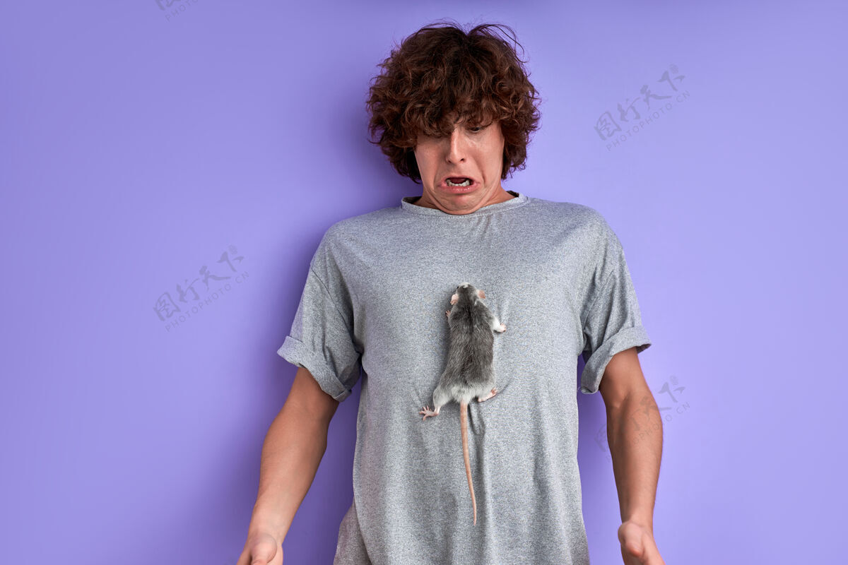 年轻人雄性老鼠爬上他的t恤衫 男人被它的活动震惊了 爬行的老鼠肖像情绪老鼠
