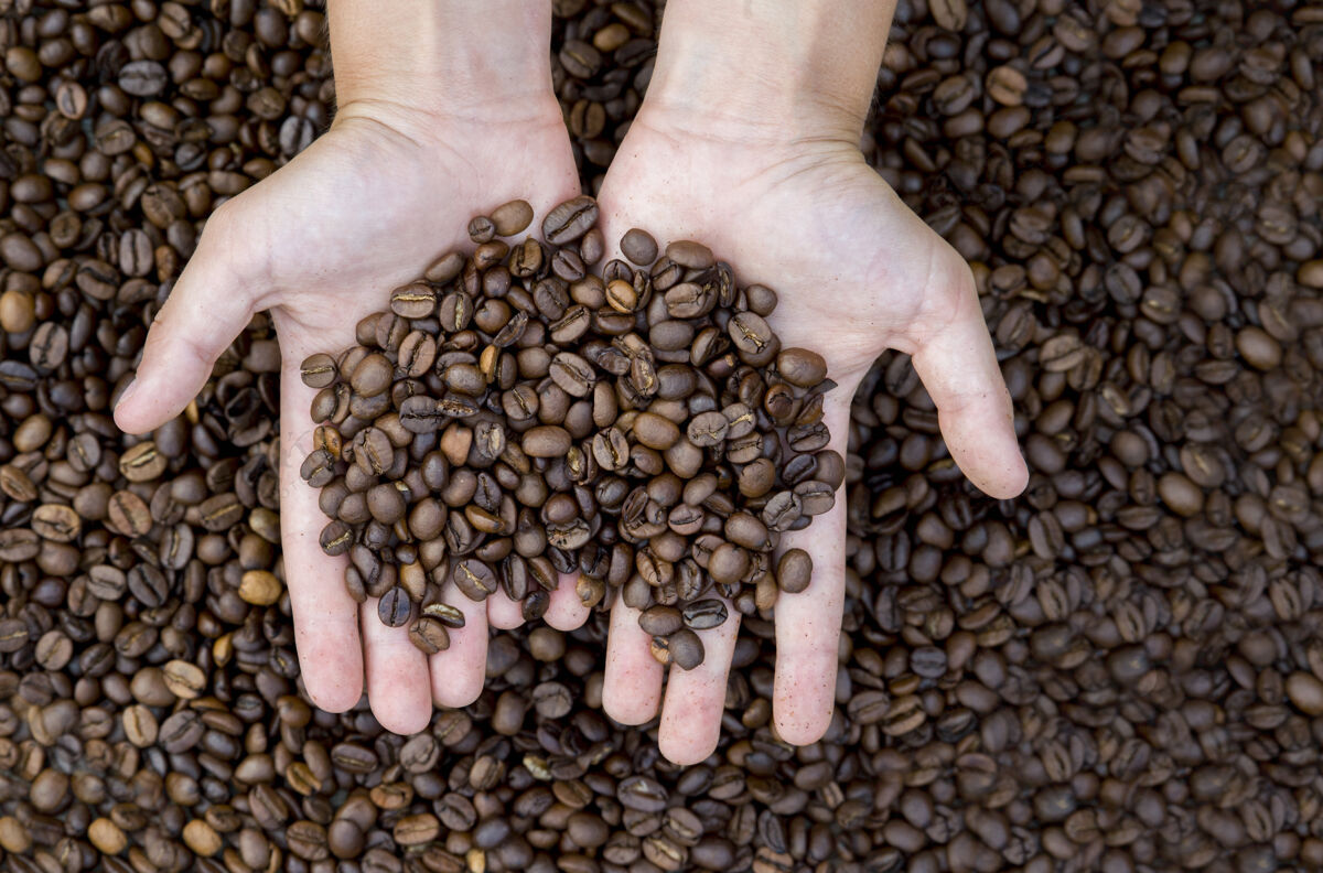 芳香近距离观看男人手中的烤咖啡豆意式浓缩咖啡黑咖啡种子