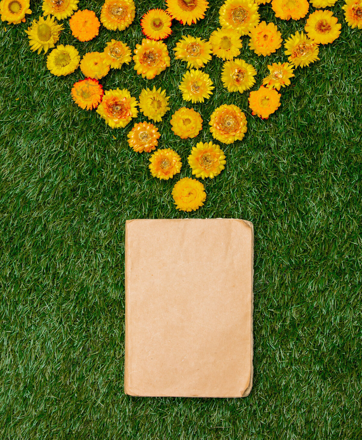 土地黄色的蒲公英和一本关于绿草的书绿色花园花