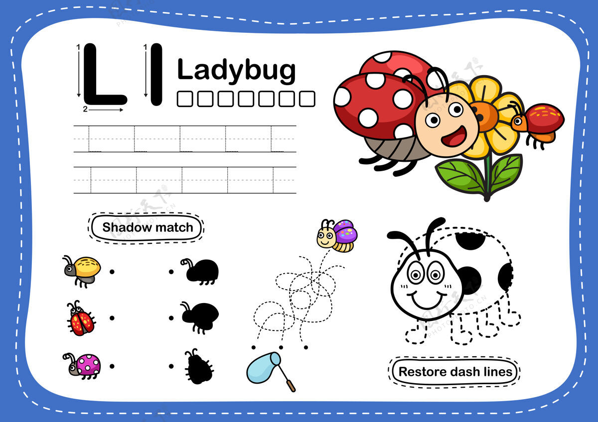 活动字母瓢虫卡通词汇练习字母表瓢虫教育
