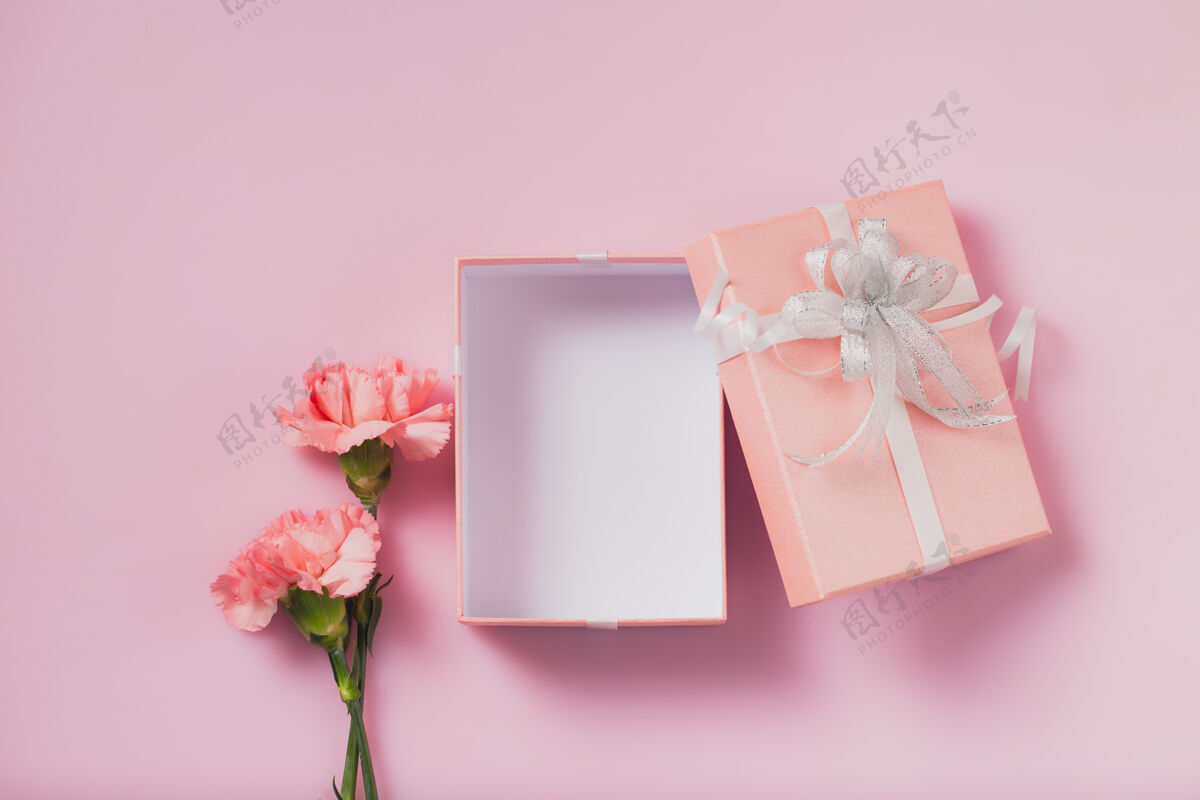 康乃馨礼盒开有康乃馨花 母亲节和情人节的概念庆祝丝带礼品盒