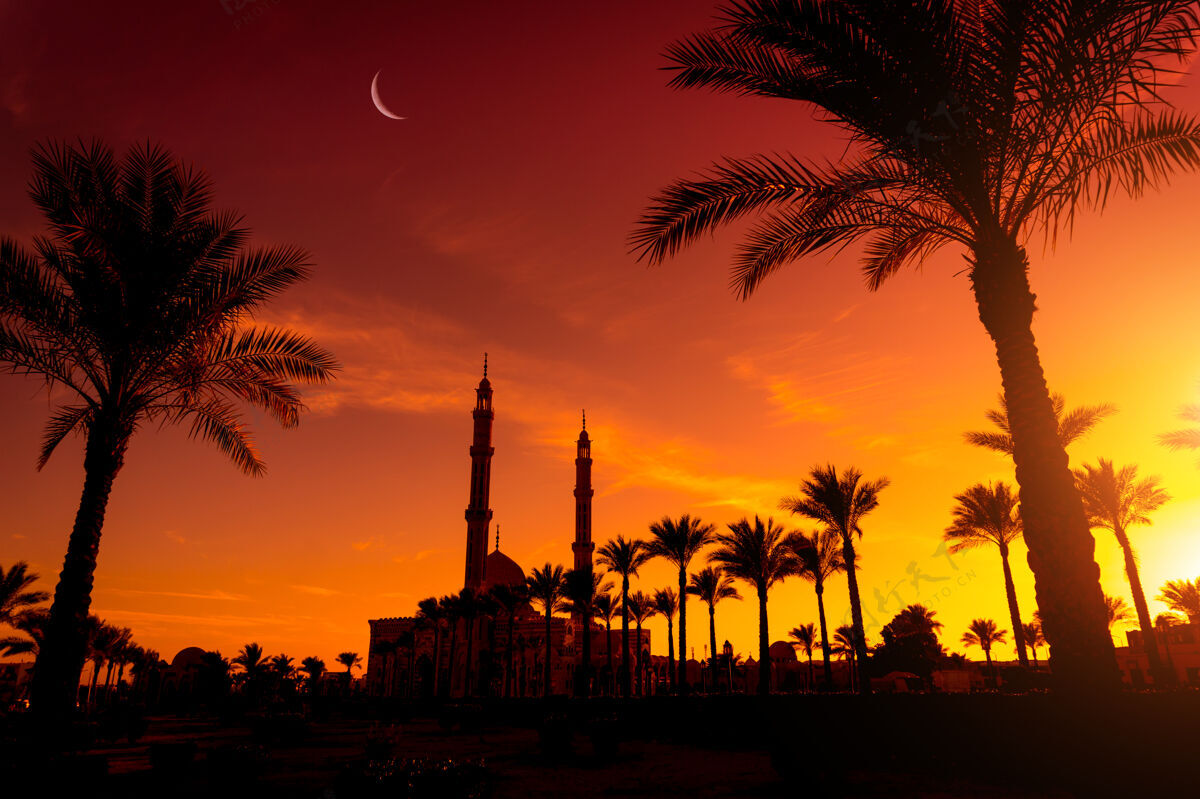 传统日落时分美丽的伊斯兰清真寺柱子谢赫迪拜