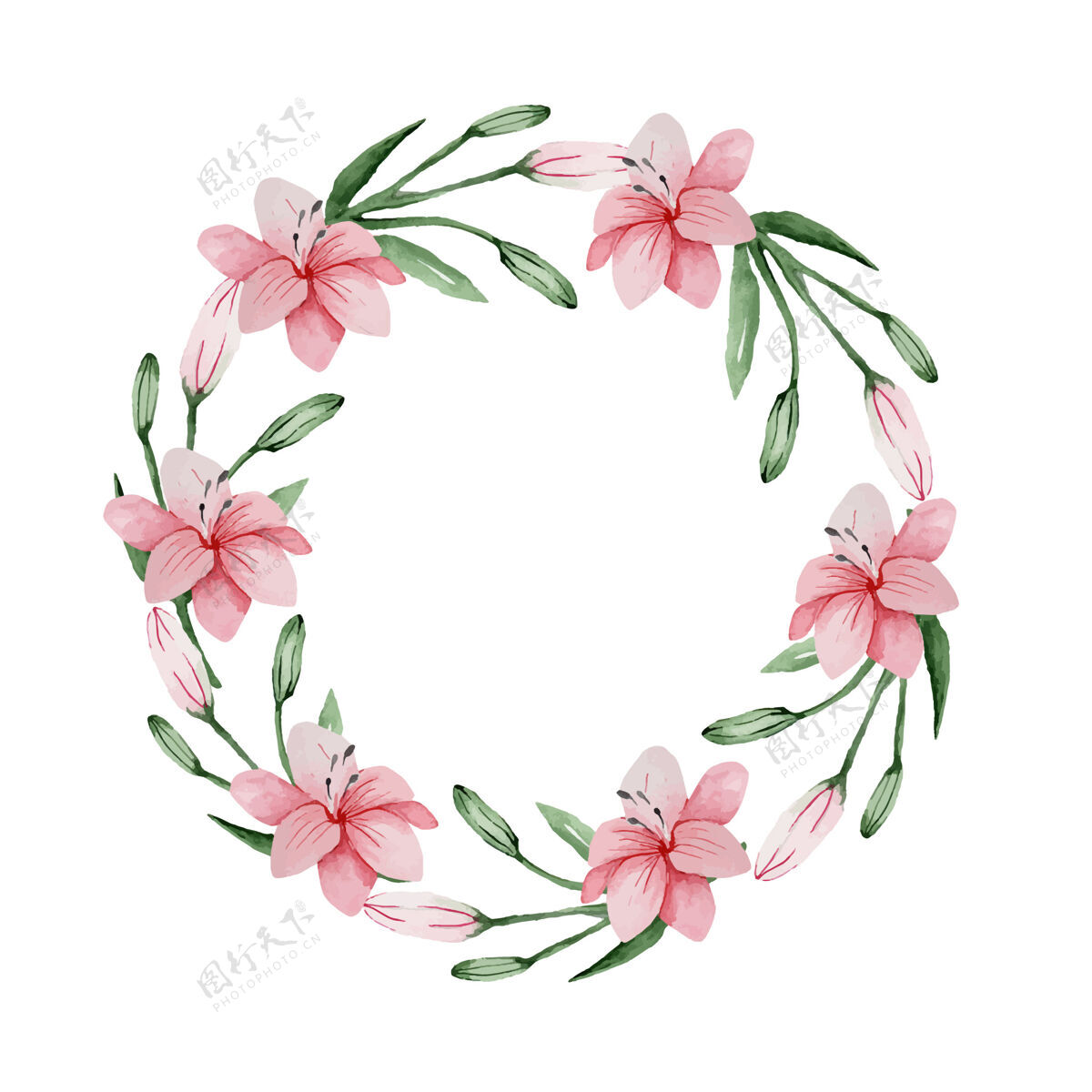 模板水彩花卉精致的粉红百合花环 为一个特殊的场合百合温柔花朵