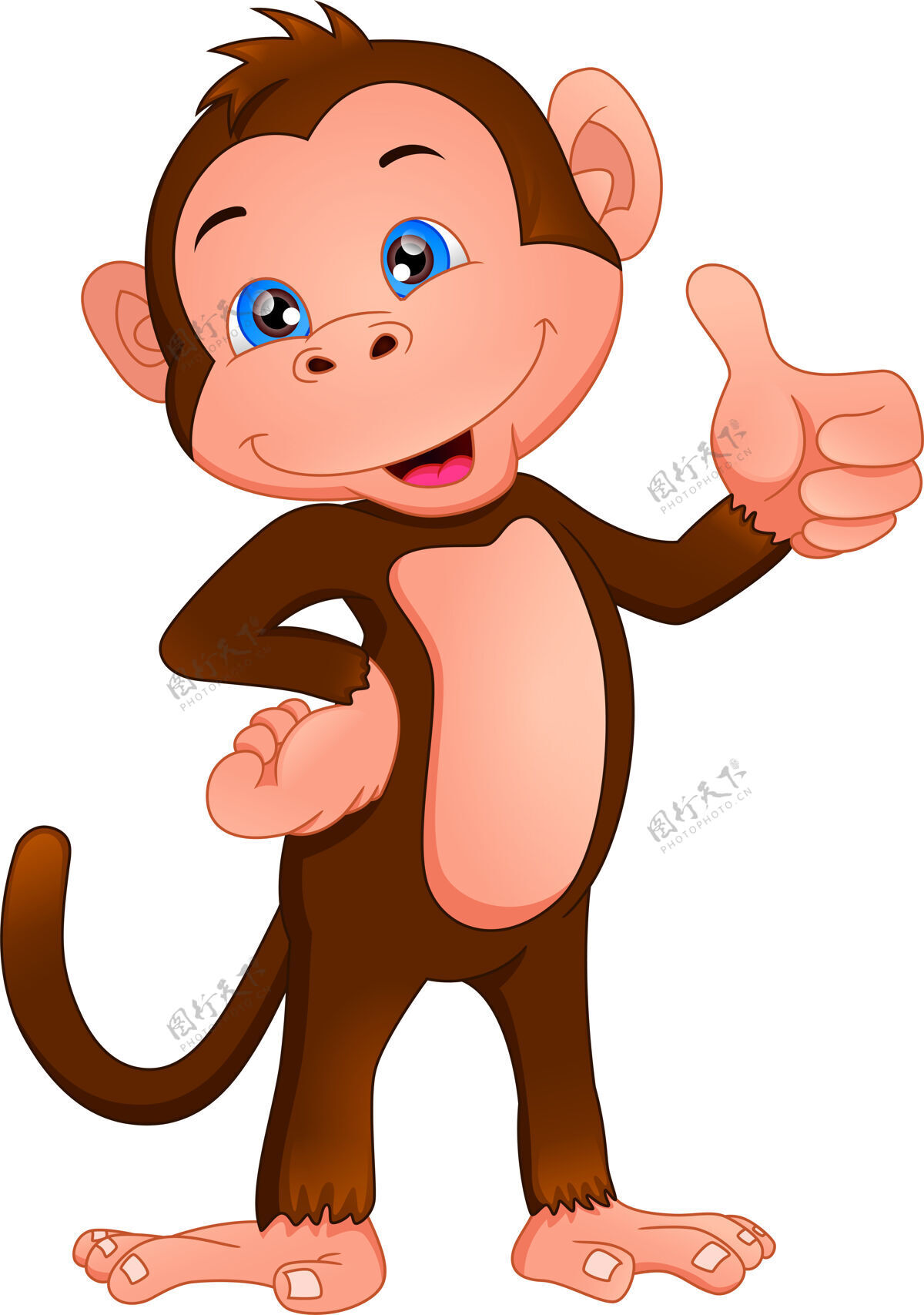 自然可爱的猴子卡通拇指起来大拇指野生动物