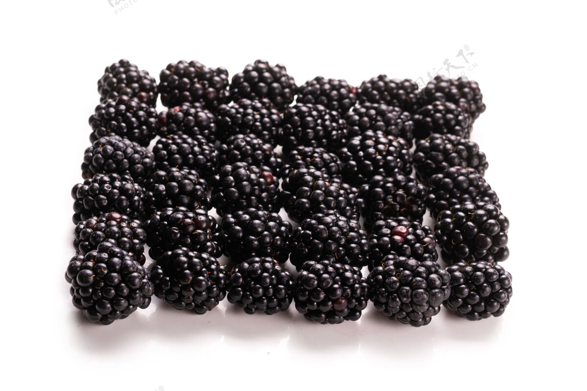 水果美味的黑莓在一排白色背景上孤立素食酸素食