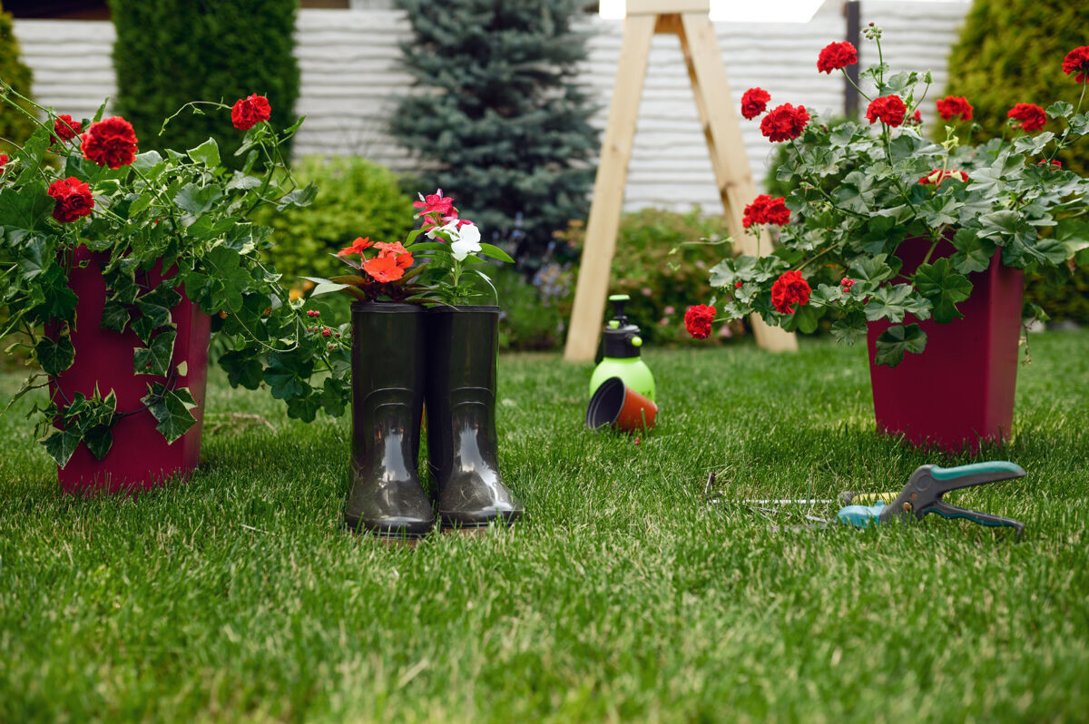 铲子园艺工具和橡胶靴 没人园丁或花店设备.浇水在花坛和花盆附近的草地上喷洒 锄和修剪 夏天的爱好 花园草夏天种植