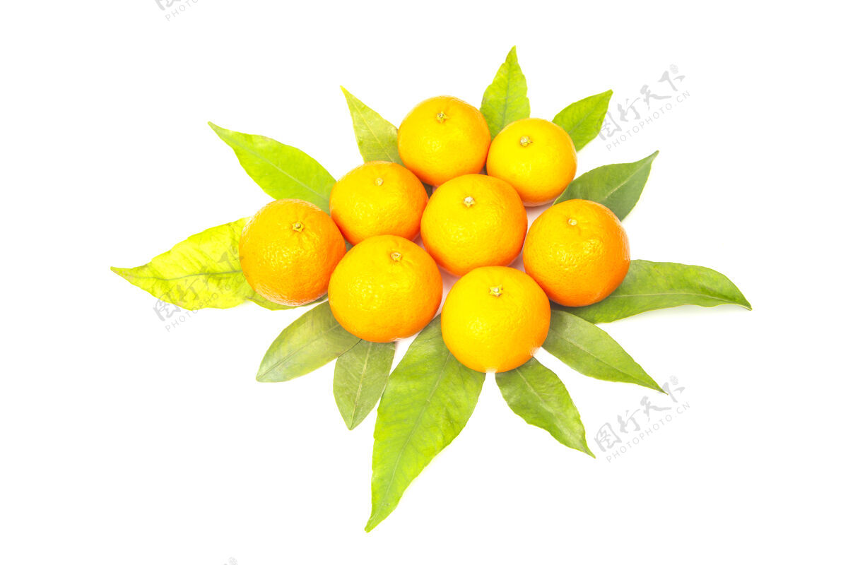 芳香白花桂叶表面维生素柑橘类水果美味营养水果