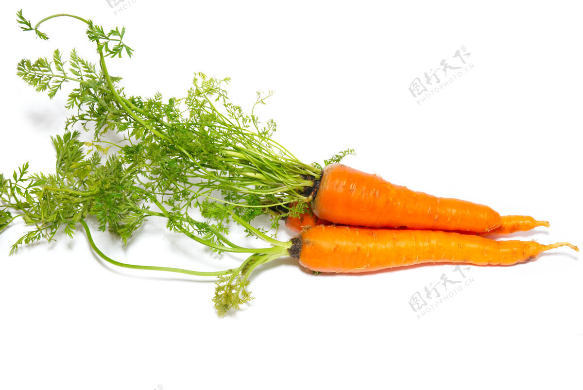 健康蔬菜橙色胡萝卜隔离在白色根叶子成熟