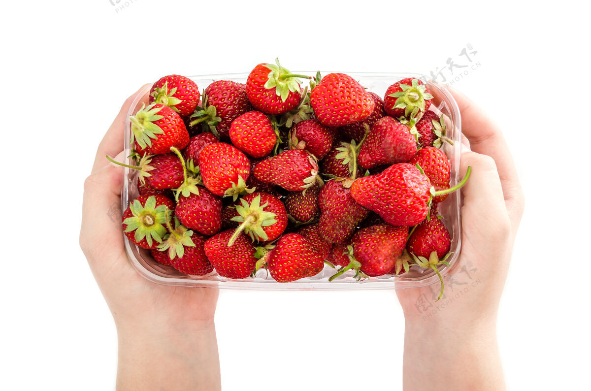 浆果两只手拿着一个白色表面上有草莓的塑料托盘草莓食物水果
