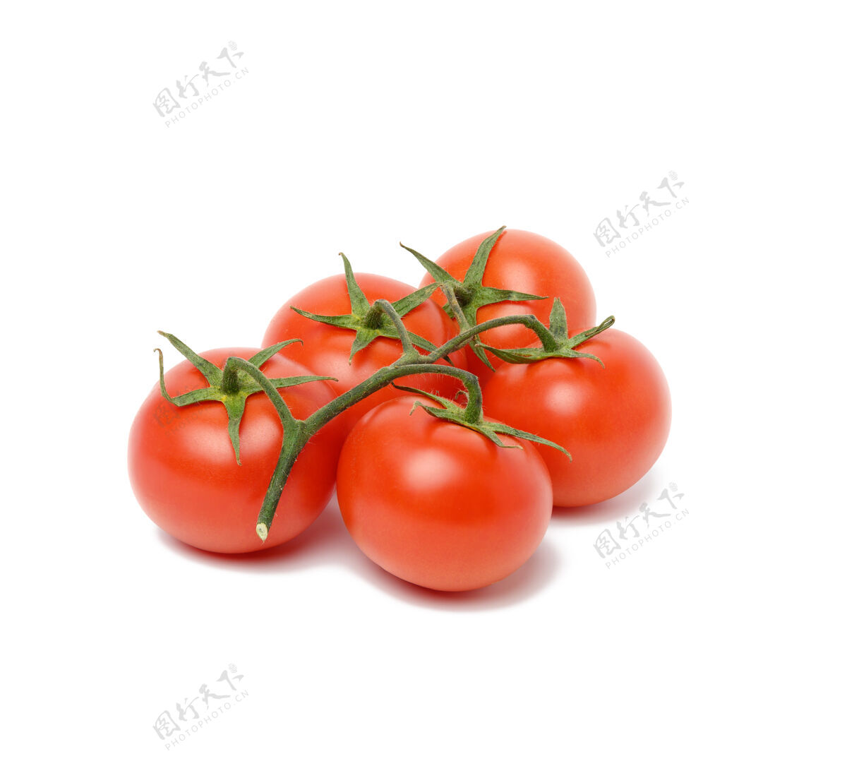 食品红熟的西红柿放在绿枝上隔离 健康的蔬菜配料组成熟