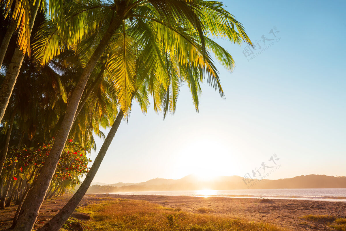 阳光明媚哥斯达黎加美丽的热带太平洋海岸热带海岸线全景