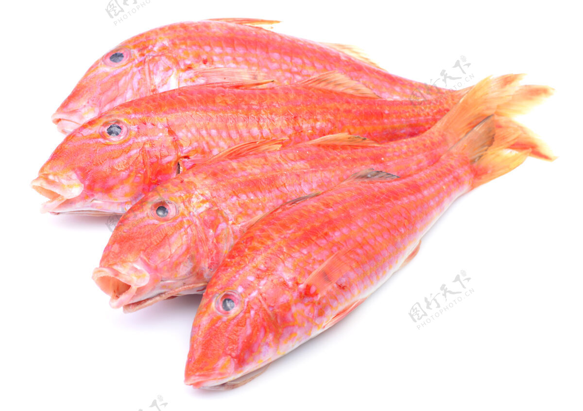 灰色鱼鲻鱼鱼食物海鲜