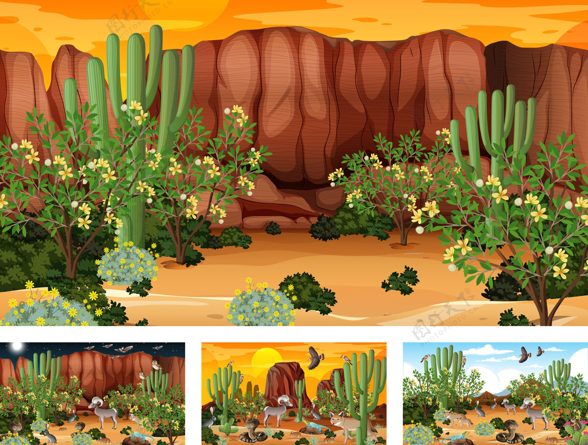 卡通不同的沙漠森林景观与动植物场景岩石森林灌木