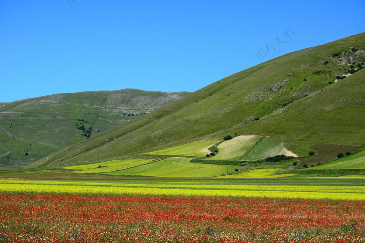 春天castelluccio村令人叹为观止的多彩景观的水平镜头山多彩的季节