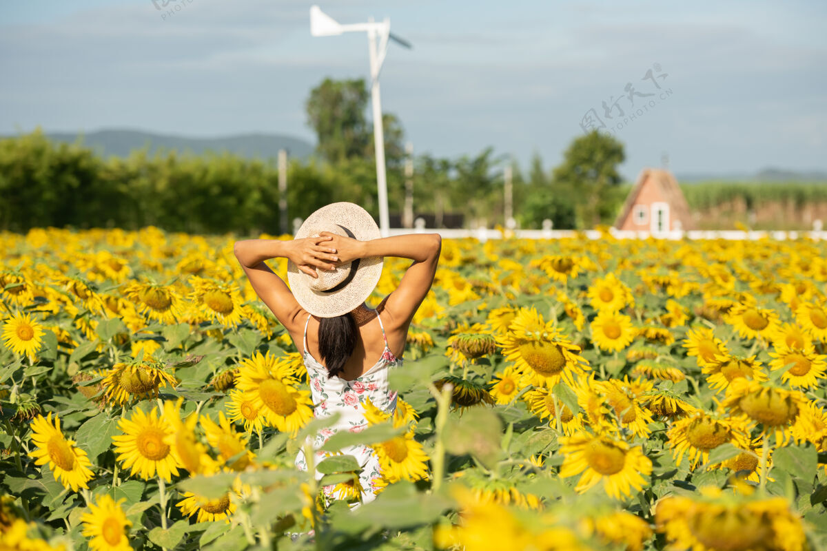 风景美丽的年轻女子在向日葵地里穿着白色的裙子周末旅行的概念戴草帽的真实女人的肖像户外向日葵地上活跃乡村花