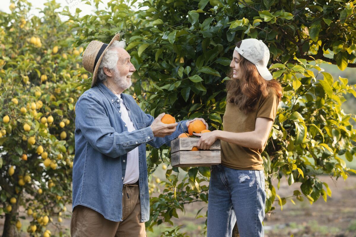 热带一个女人在帮她爸爸从花园的树上摘橘子美味农产品栽培