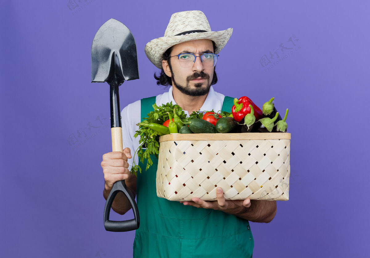 姿势年轻的留着胡须的园丁 穿着连体衣 戴着帽子 手里拿着装满蔬菜的箱子和铲子 严肃地站在蓝色的墙上 看着前面衣服抱站