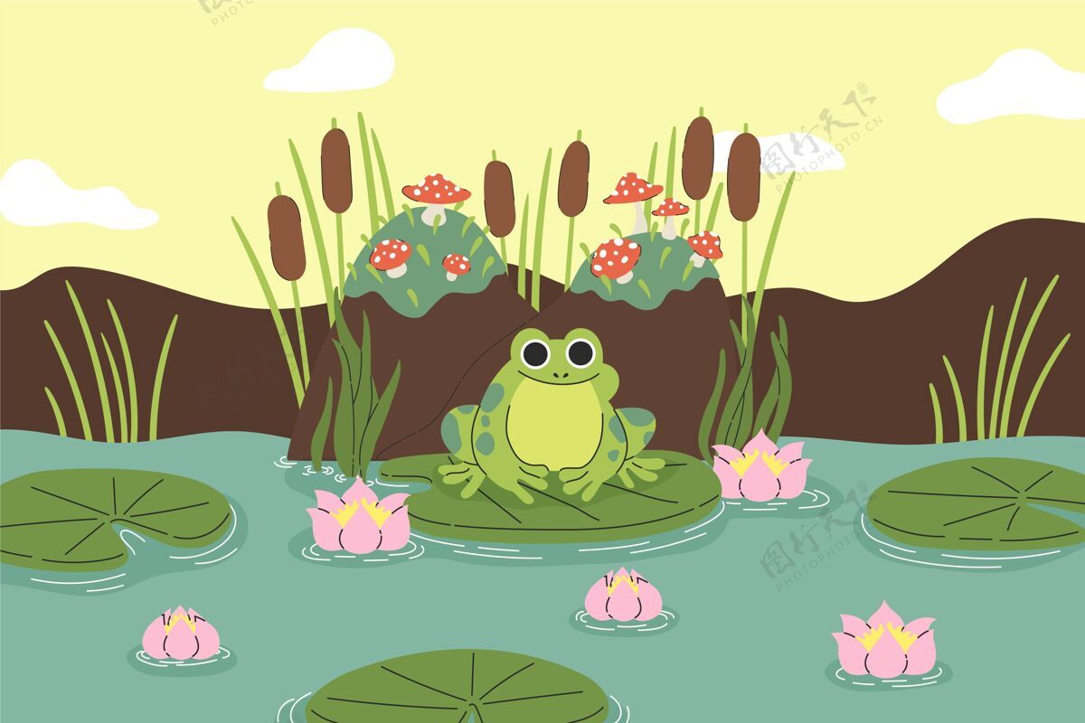 自然平面设计可爱青蛙插画野生动物动物平面设计
