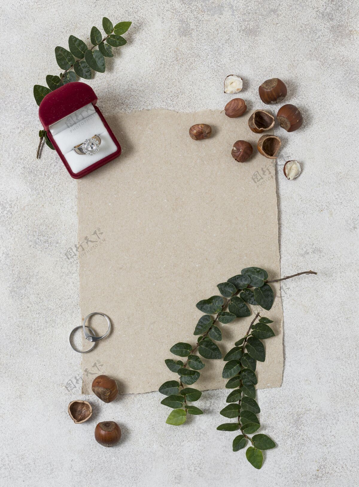 顶视图结婚戒指和植物布置俯视图上图浪漫安排