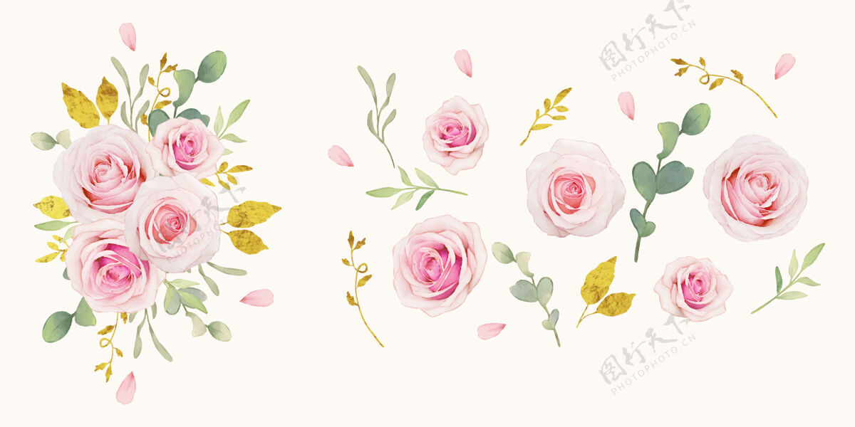 植物水彩粉红玫瑰和黄金饰品系列手绘花卉套装