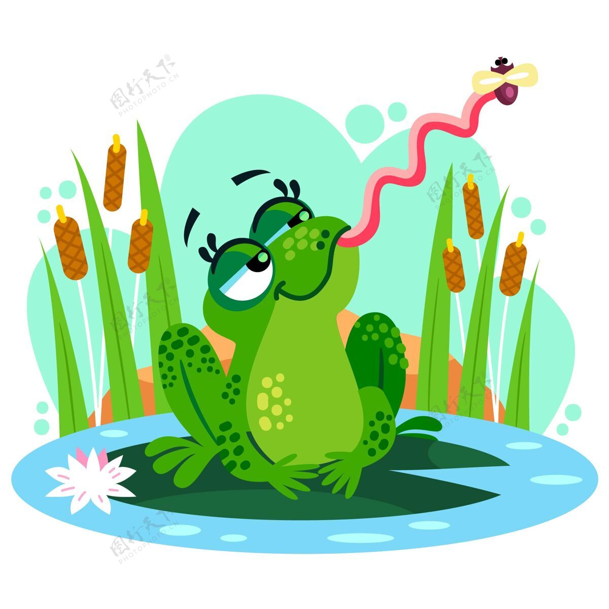 青蛙平面设计青蛙插图可爱动物野生动物