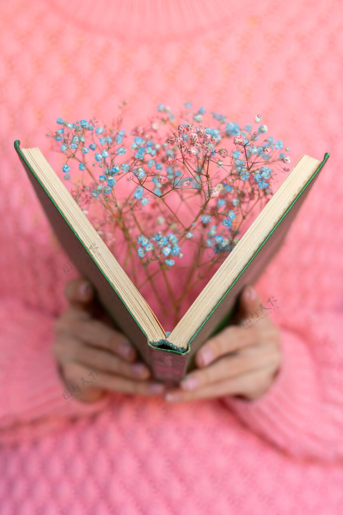 成人一个女人手里拿着一本打开的书 里面放着一束干花休闲故事开放