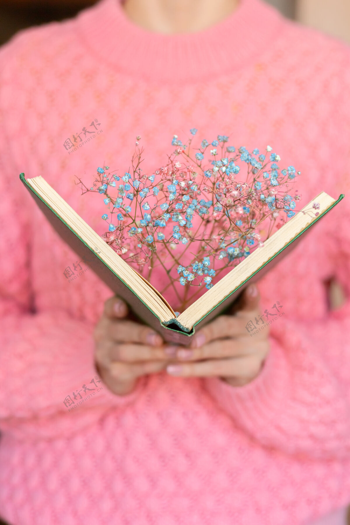 优雅一个女人手里拿着一本打开的书 里面放着一束干花享受手指纸