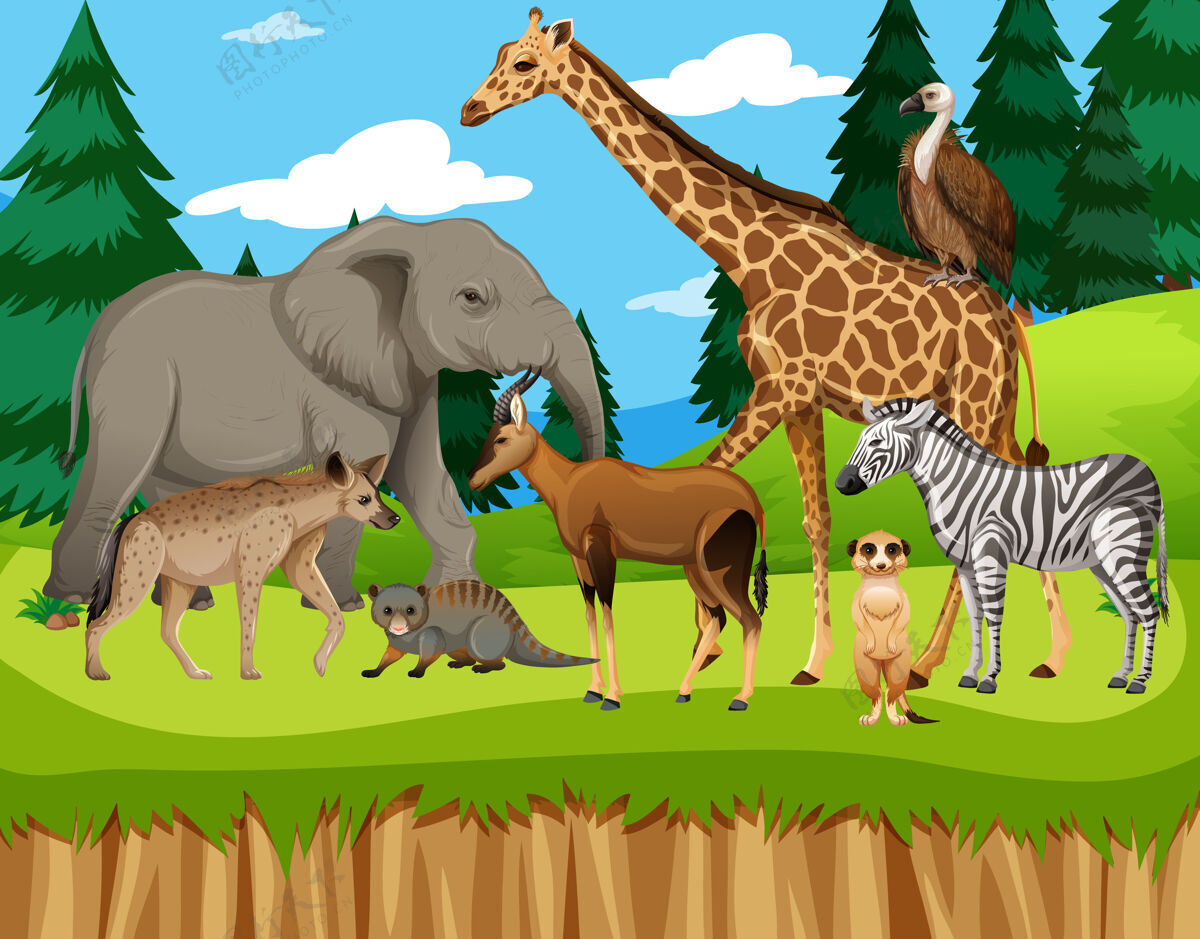 户外动物园里有一群非洲野生动物哺乳动物非洲生活