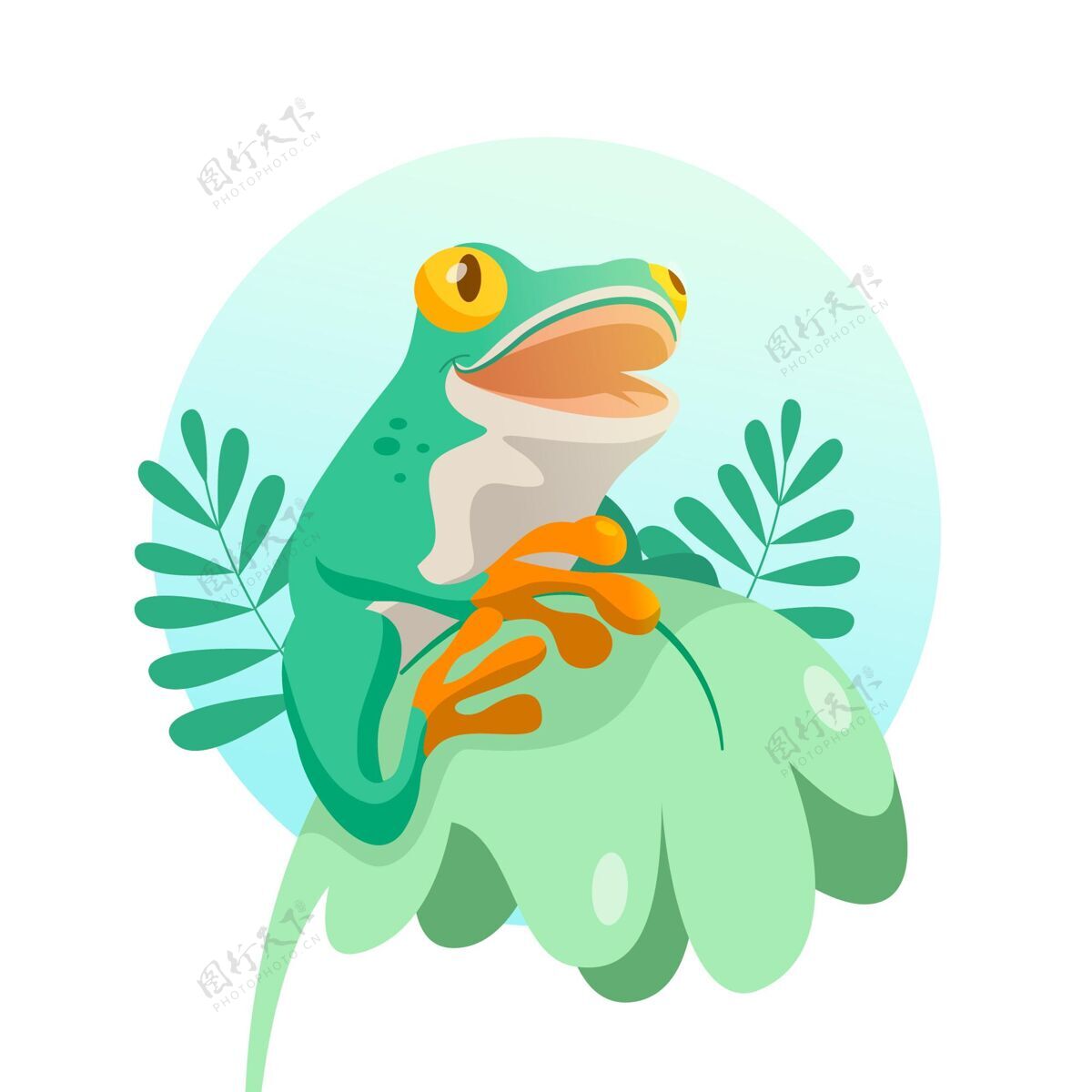 青蛙有机平面可爱青蛙插图可爱野生动物动物