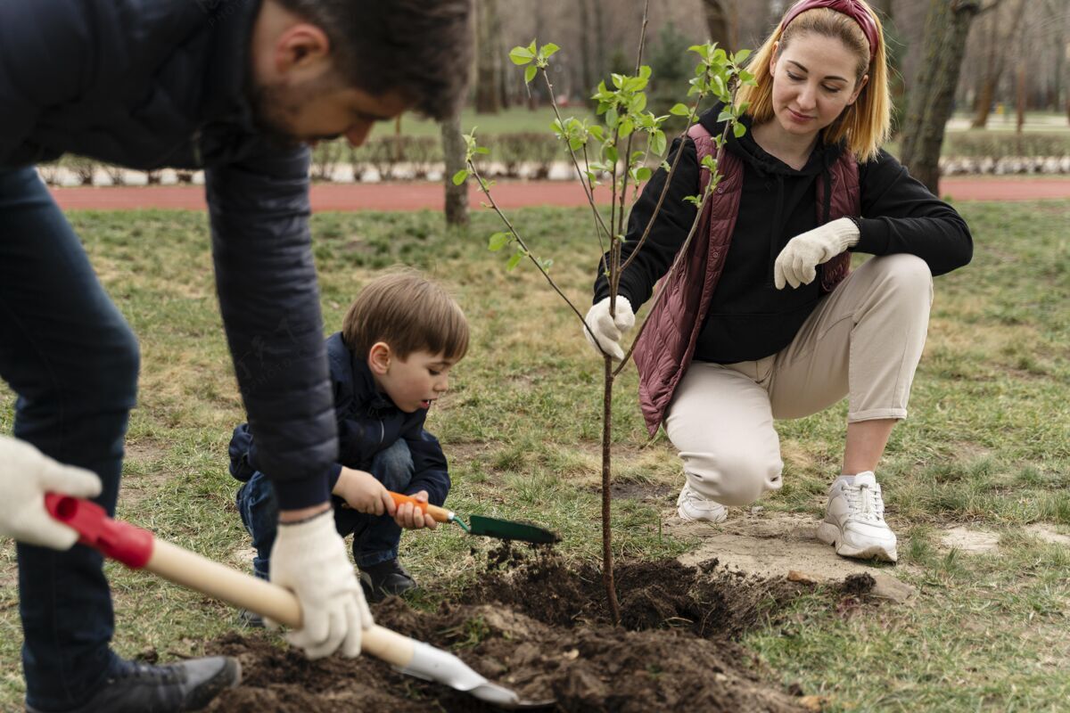 种植一家人在一起拼树工具土壤活动