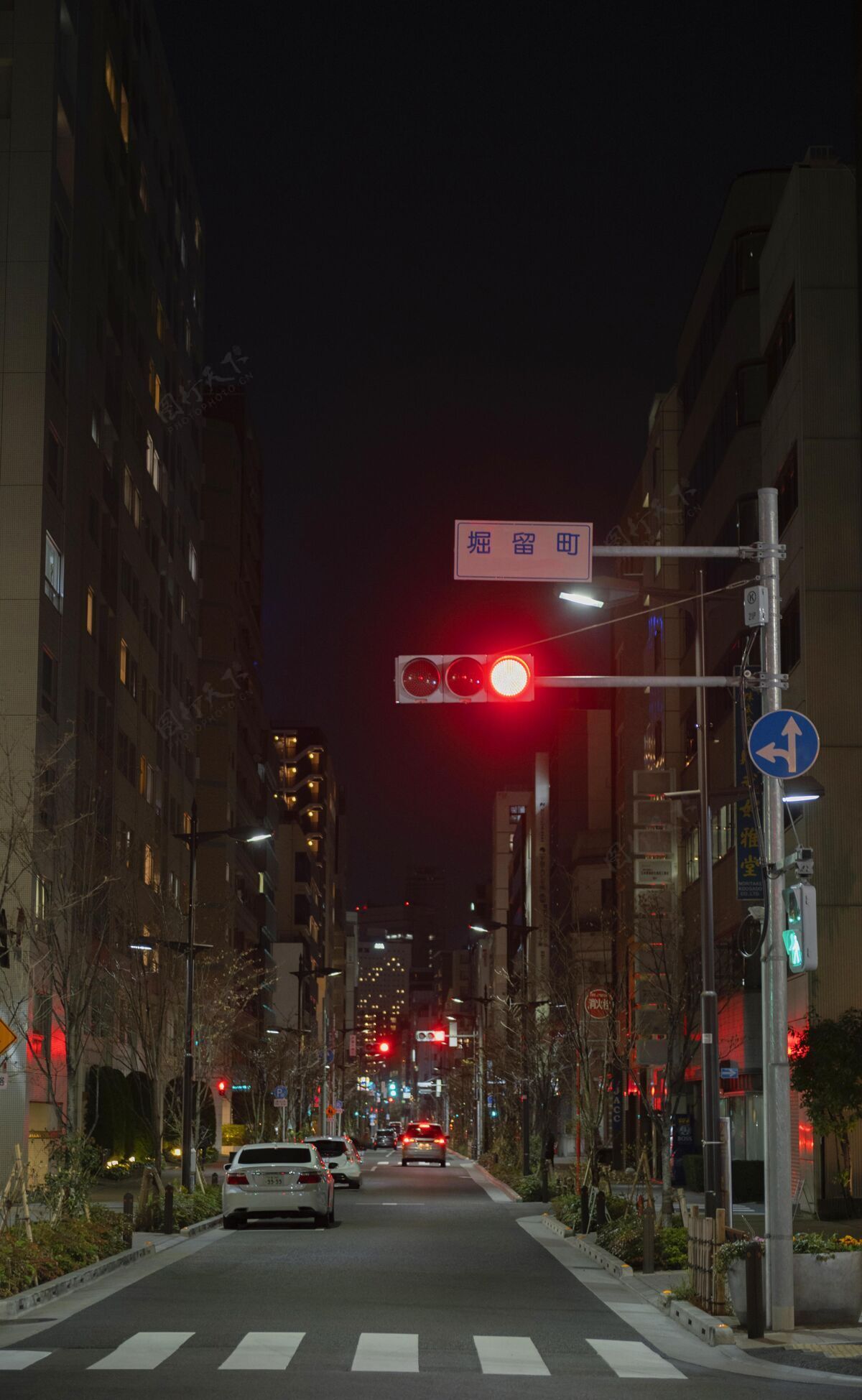 日本晚上的日本城有车在街上街道大都市透视
