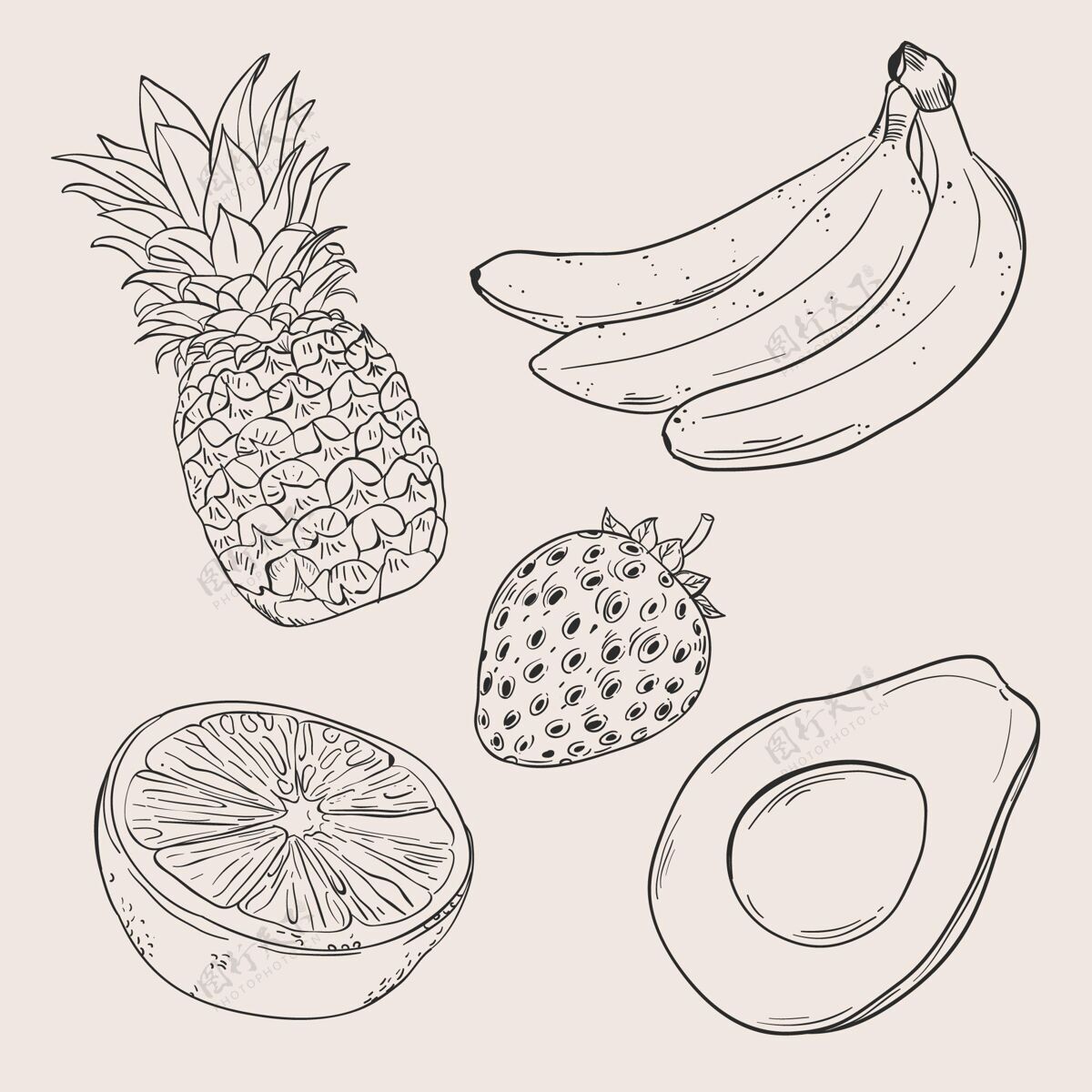 水果雕刻手绘水果收藏健康美味美味