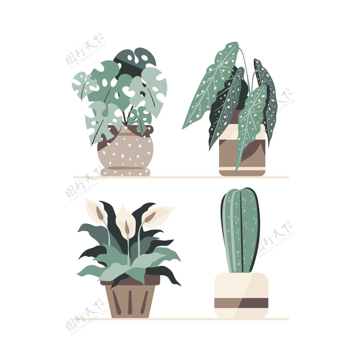 植物收藏手绘室内植物收藏手绘植物植物
