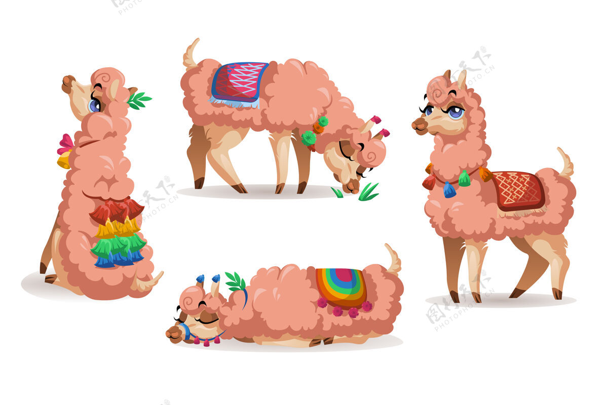 荒野美洲驼 秘鲁和羊驼 动物套装穿可爱智利