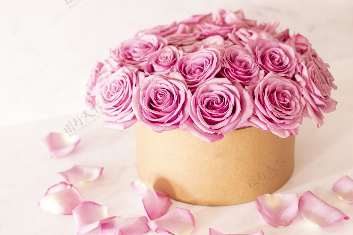 叶美丽的花束与粉红玫瑰在一个粉红色的背景盒天束粉红色