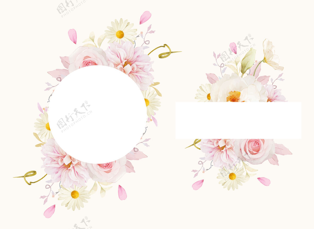 套装美丽的花卉框架与水彩粉红玫瑰大丽花和白牡丹绿色植物画框