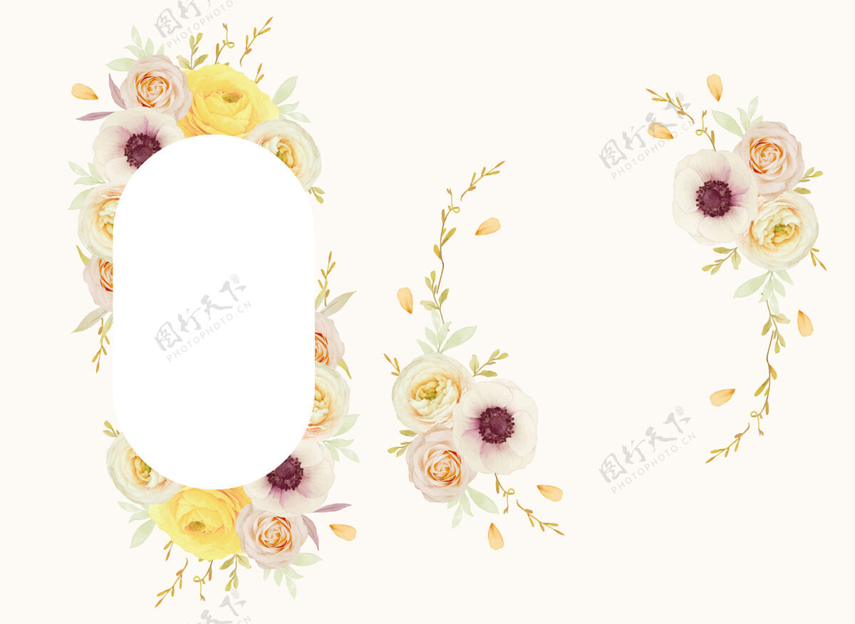 画框美丽的花架与水彩玫瑰 毛茛和海葵花海葵花乡村水彩