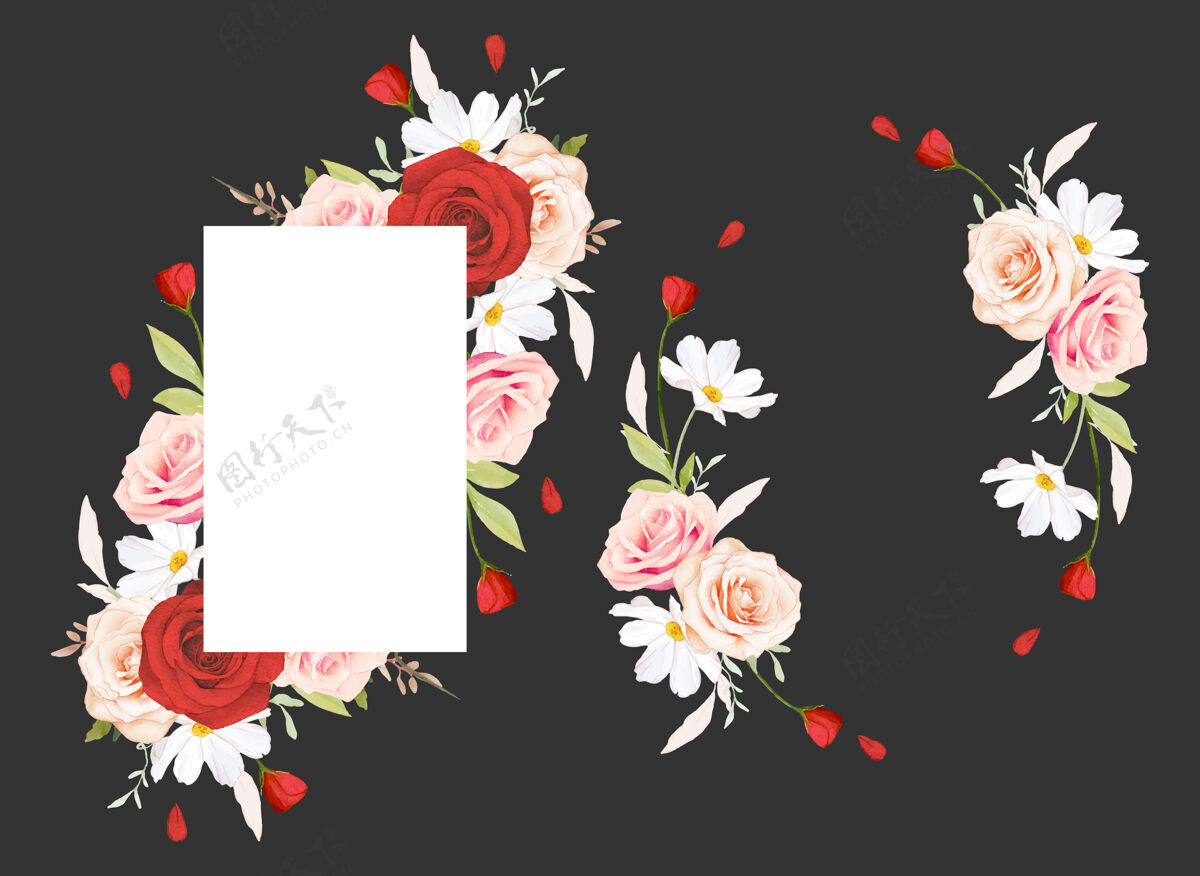 框架美丽的花卉框架与水彩画粉红和红玫瑰玫瑰花植物花环
