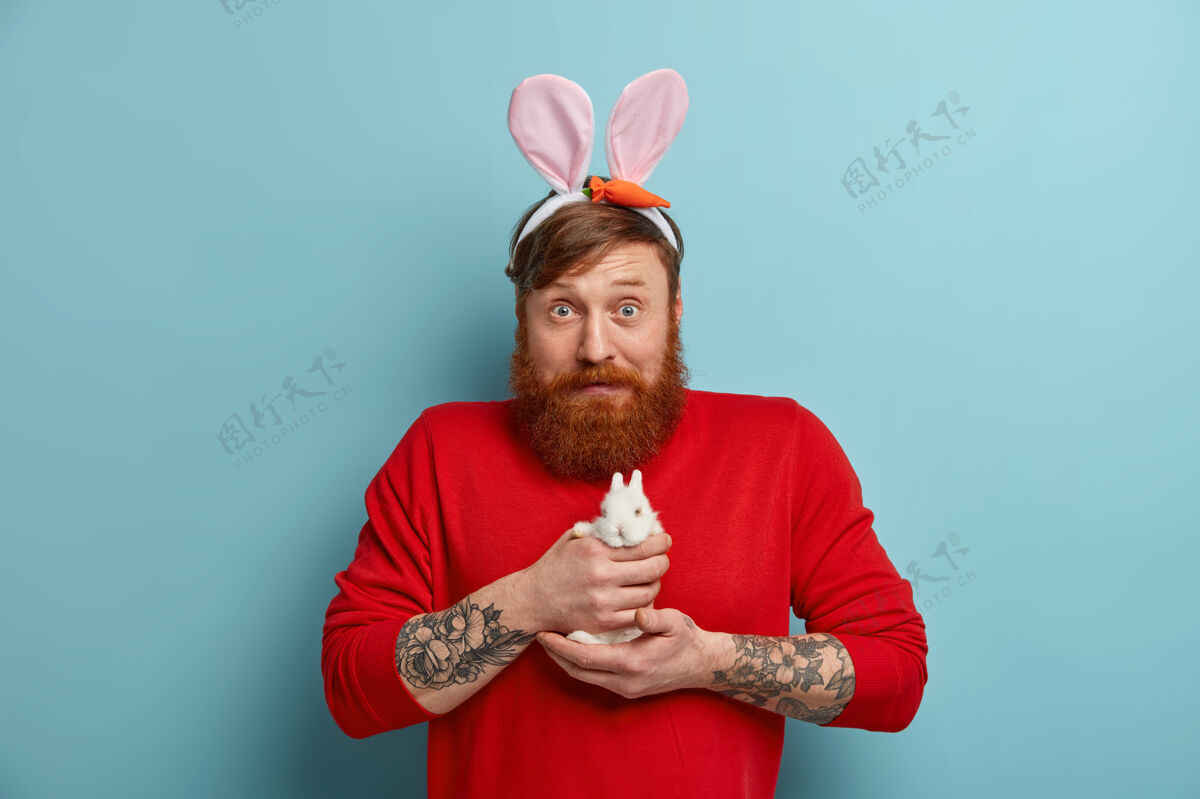 节日震惊的公兔耳朵抱着小兔子 准备复活节假期复活节兔子庆祝